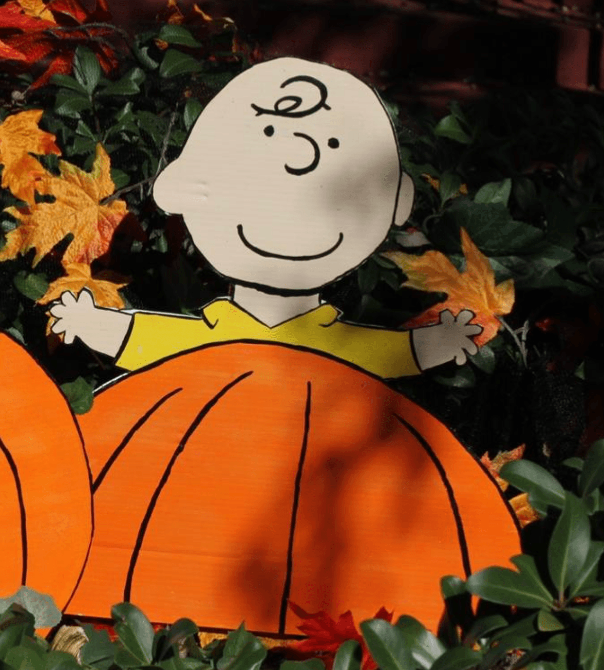 Charlie Brown